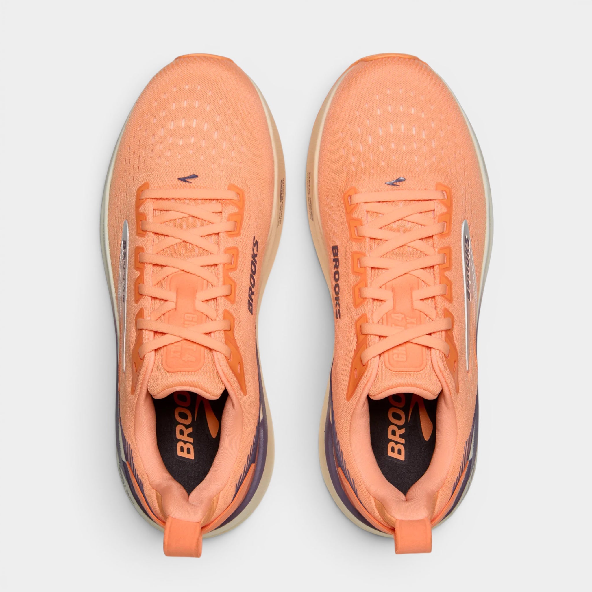 Ghost Max 4